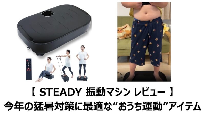 STEADY 振動マシン レビュー 】今年の猛暑対策に最適な“おうち